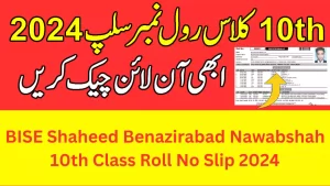 BSEK Karachi Board Class 10 Roll Number Slips