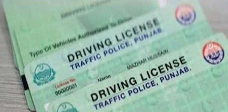 Download e-driving license on mobile phones