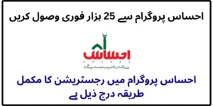 8171 Ehsaas Program 25,000 CNIC Check Online & Registration Guide